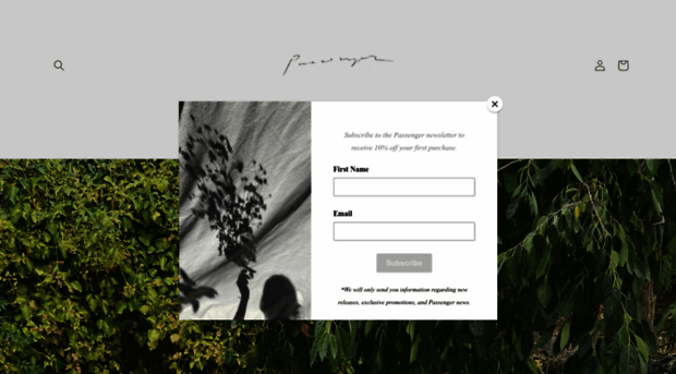 shop-passenger.com