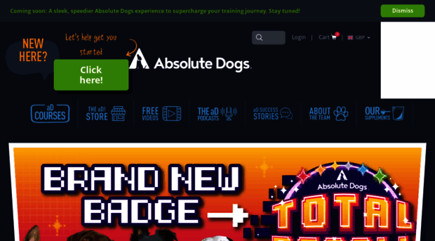 shop.absolutedogstraining.com