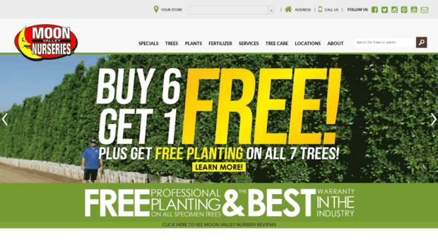 shop.bigtextrees.com