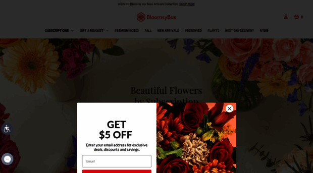 shop.bloomsybox.com