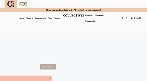 shop.collectivehub.com