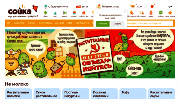 shop.soyka.ru