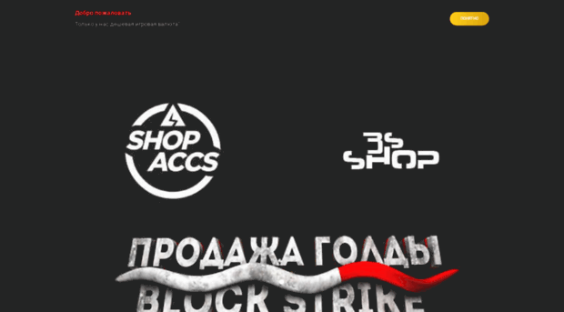 shopaccs.ru