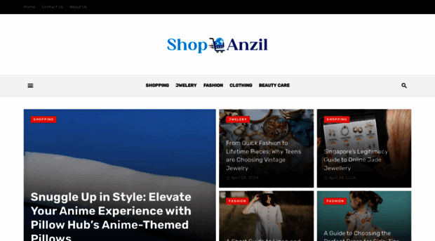 shopanzil.com