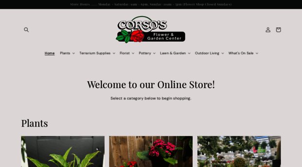 shopcorsos.com