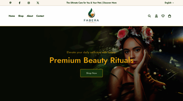 shopfabera.com