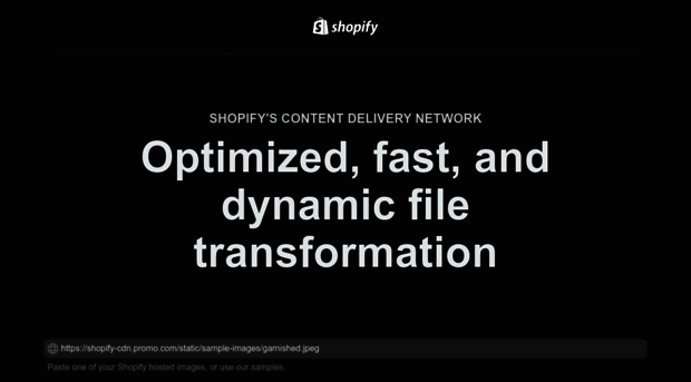 shopify-cdn.promo.com
