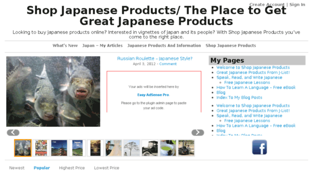 shopjapaneseproducts.com