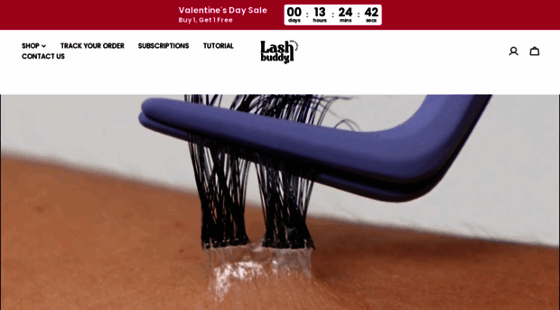 shoplashbuddy.com
