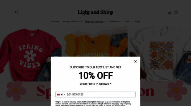 shoplightandshine.com