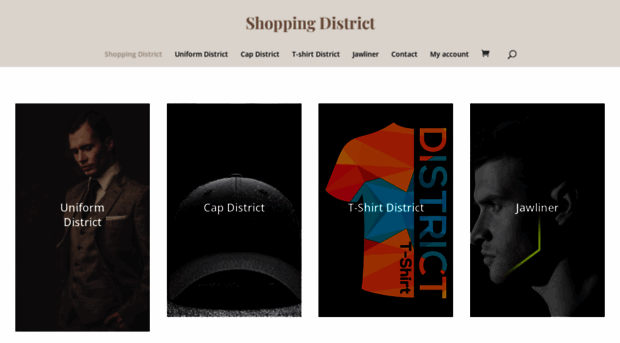 shoppingdistrict12.com