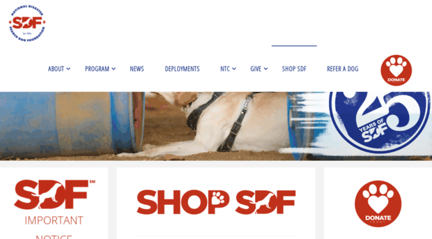 shopsdf.com