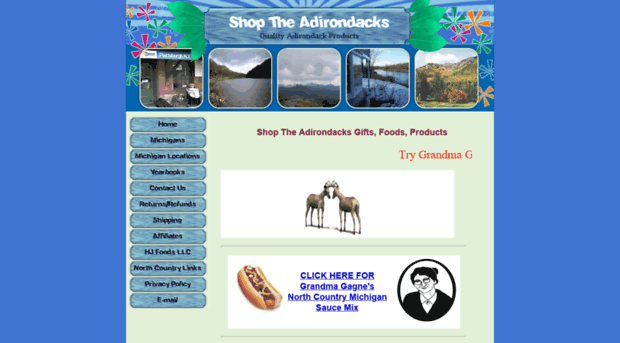 shoptheadirondacks.com