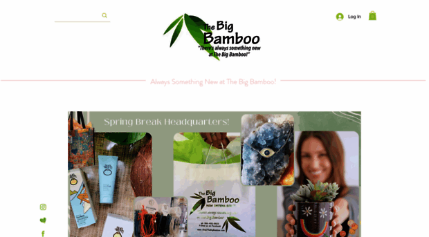 shopthebigbamboo.com