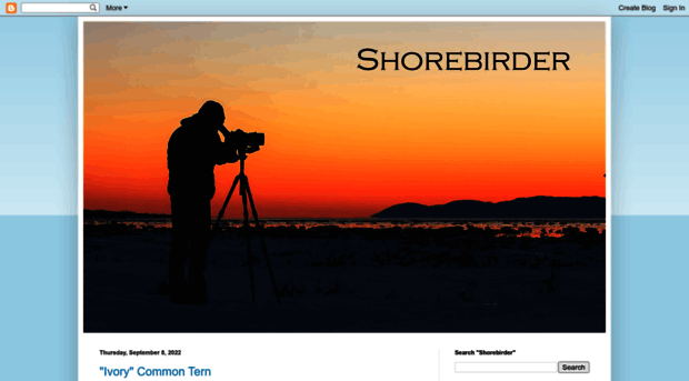 shorebirder.com