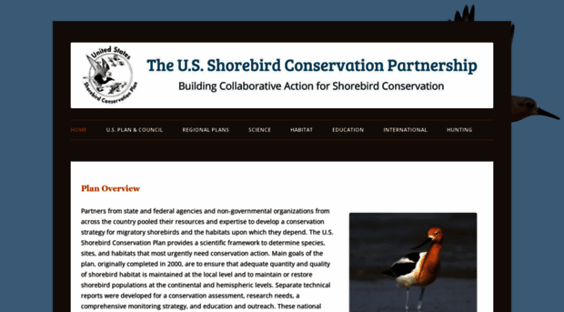 shorebirdplan.org