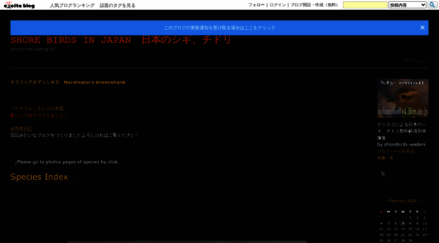 shorebirds.exblog.jp
