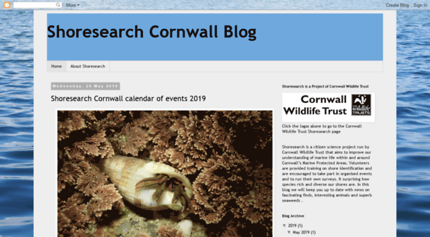 shoresearchcornwall.blogspot.com