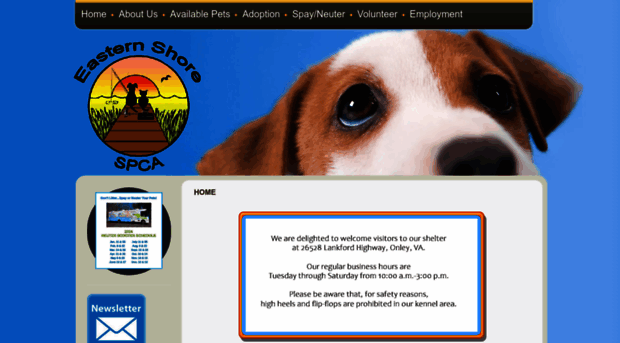 shorespca.com