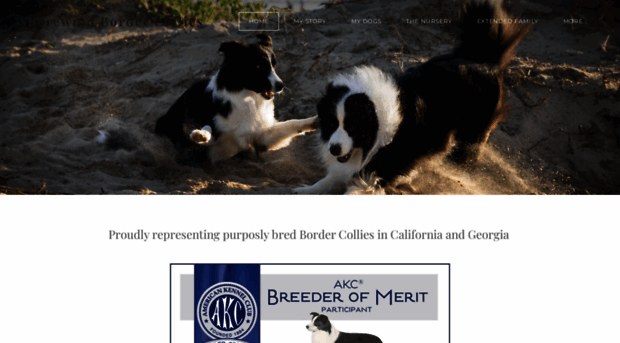 shorewindbordercollies.com