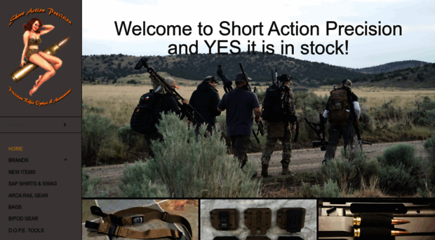 shortactionprecision.com