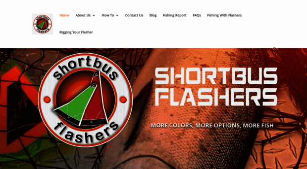 shortbusflashers.com