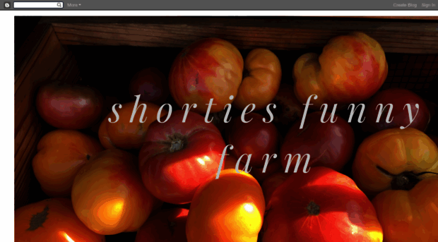 shortiesfunnyfarm.blogspot.sg