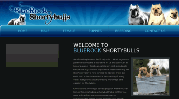 shorty-bulls.com