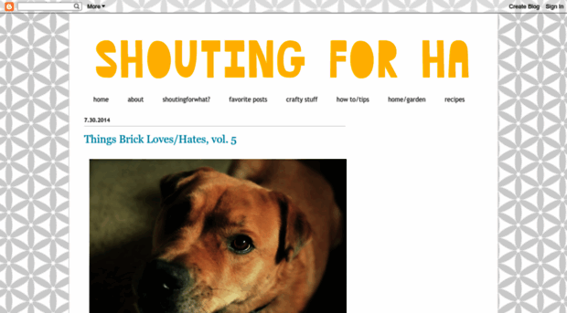 shoutingforha.blogspot.com