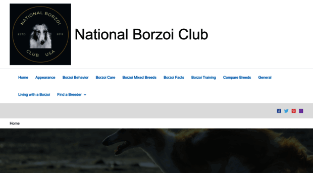 show-borzoi.com