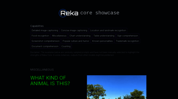 showcase.reka.ai