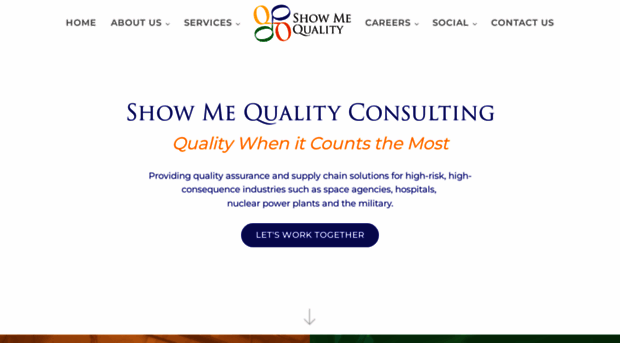 showmequalityconsulting.com