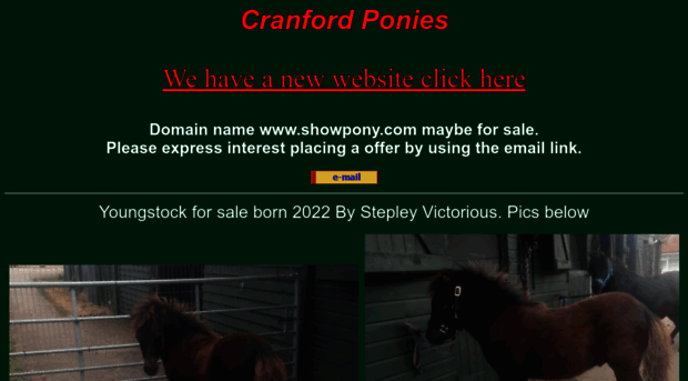 showpony.com