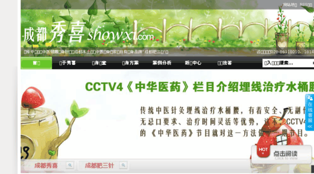 showxi.com