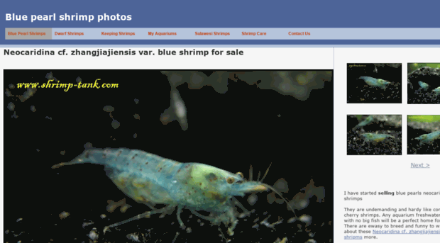 shrimp-tank.com