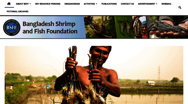 shrimpfoundation.org