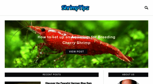 shrimptips.com