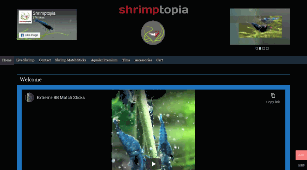 shrimptopia.ca