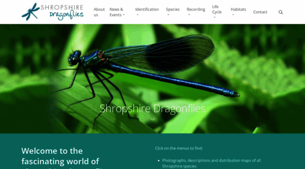 shropshiredragonflies.co.uk