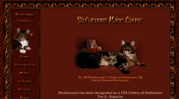 shubacoons.com