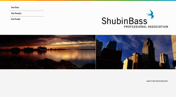 shubinbass.com
