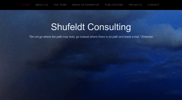 shufeldtconsulting.com