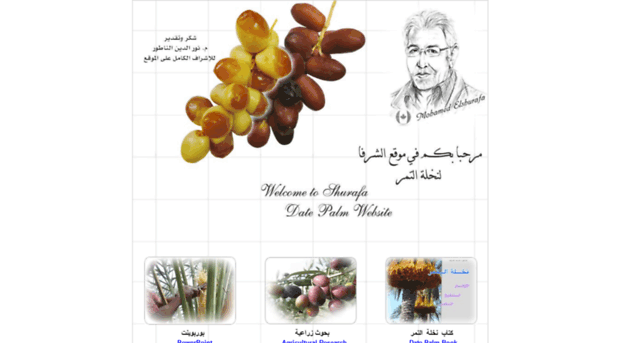 shurafa-datepalm.com