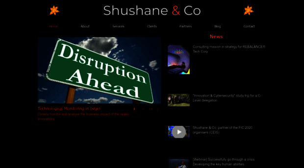 shushaneandco.com