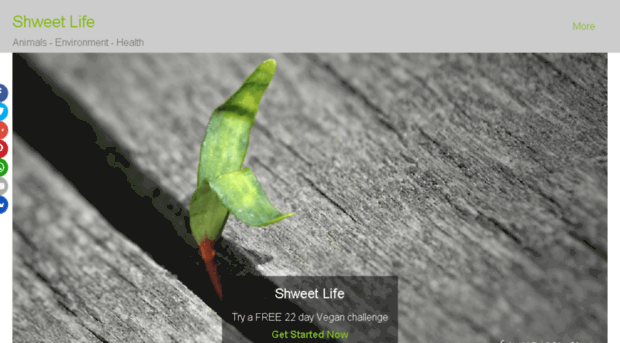 shweetlife.com