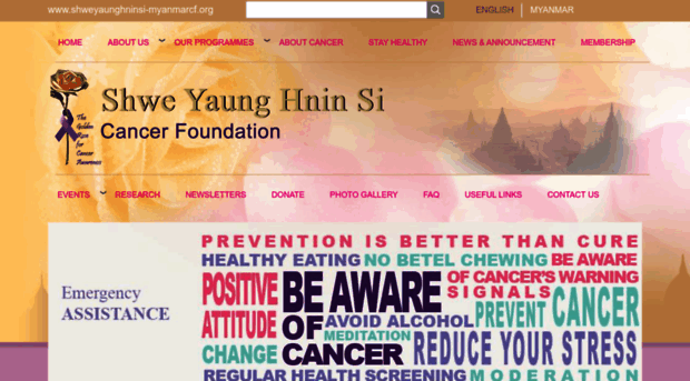 shweyaunghninsi-myanmarcf.org