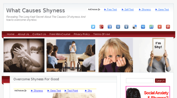 shynesstest.com