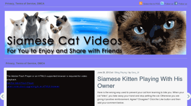 siamesecat-videos.com