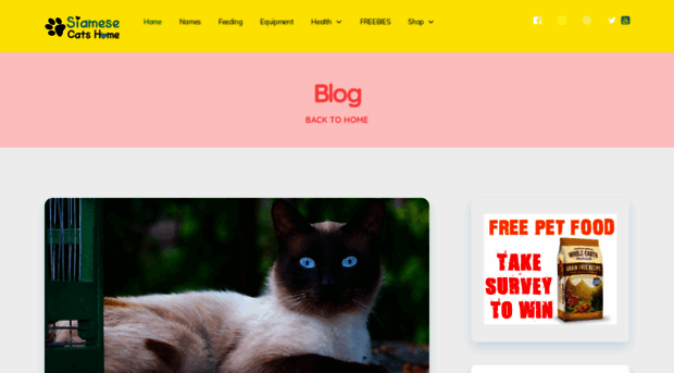 siamesecatshome.com