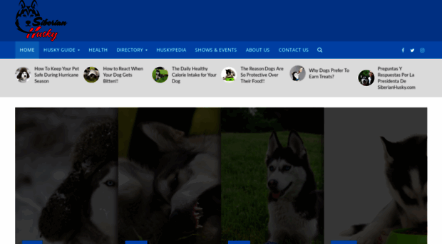 siberianhusky.com